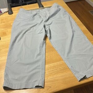 Christopher & Banks Beige and Navy Pants